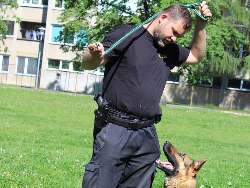 Prvňáčci ze ZŠ Dukelská viděli ve čtvrtek dopoledne výcvik služebních policejních psů. Na snímku psovod Jiří Pixa a Michal Hrachovec předvádějí, co umí cvičený policejní pes - německý ovčák Xell.