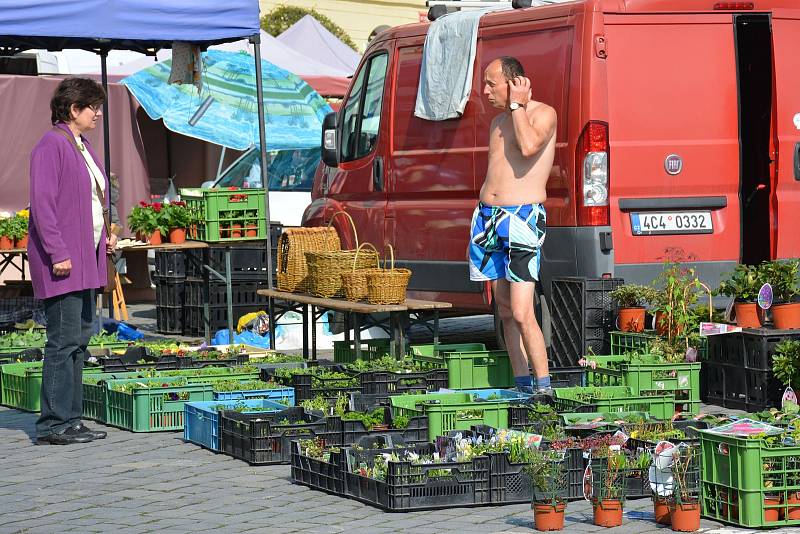 Trhy na náměstí ve Vodňanech se konají vždy v úterý a v sobotu od 6 do 12 hodin. V úterý 17. dubna si nejen zahrádkáři nakupovali hlavně první sazeničky.