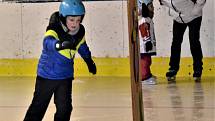 Týden hokeje Strakonice 24. ledna zaplnil Křemelku dětmi.