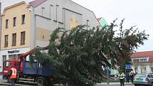 Vánoční stromy na Velkém náměstí ve Strakonicích. Jedli vystřídal smrk. Ten se při osazování zřítil k zemi - prasklo lano.