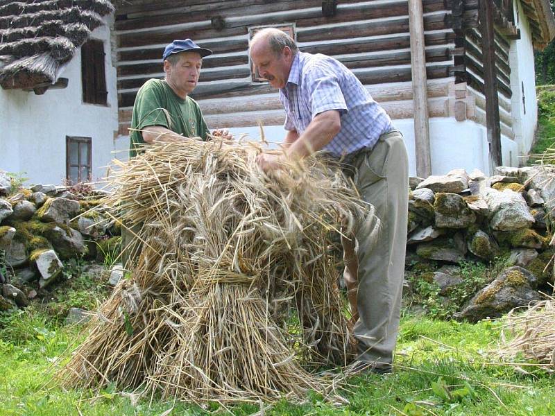 Stavění panáků v Hoslovicích.