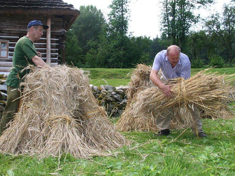 Stavění panáků v Hoslovicích.