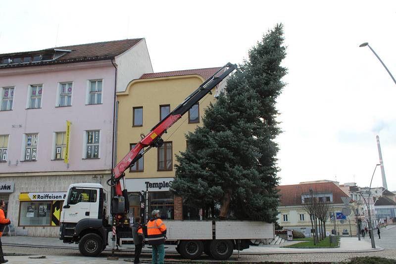 Vánoční strom Strakonice.