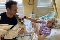 Pes Gump a jeho majitel Filip Rožek navštívili v pondělí 21. listopadu strakonickou nemocnici.