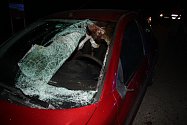 Odražená srna od auta, se kterým se srazila, spadla na protijedoucí auto, prorazila sklo a poranila řidiče v obličeji.