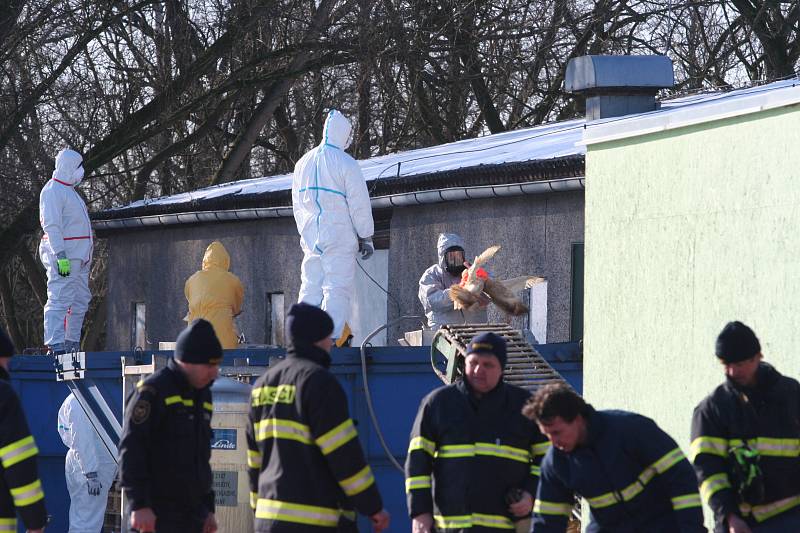 Uzavřený chov kachen společnosti Blatenská ryba museli 26. ledna 2017 zlikvidovat hasiči a veterináři. Na vině byl virus ptačí chřipky, celkem šlo o 6500 kusů kachen. Ty představují cca 20 tun živého masa.