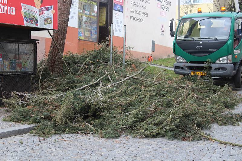 Jedle v ulici Hrnčířská musela k zemi.