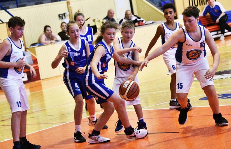 Vánoční turnaj U12: BK Strakonice - SBK Strakonice 74:12.