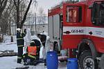 Sedmý chov drůbeže zasažený ptačí chřipkou, které se objevilo v Libějovicích na Strakonicku, byl pod dohledem hasičů a veterinární správy v úterý 17. ledna utracen.