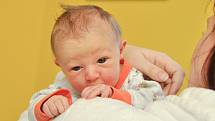 Lucie Vanýsková z Malenic. Lucinka se narodila 3. 1. 2020 ve 2.04 hodin a její porodní váha byla 3 190 gramů. Z narození miminka měli všichni doma velkou radost.