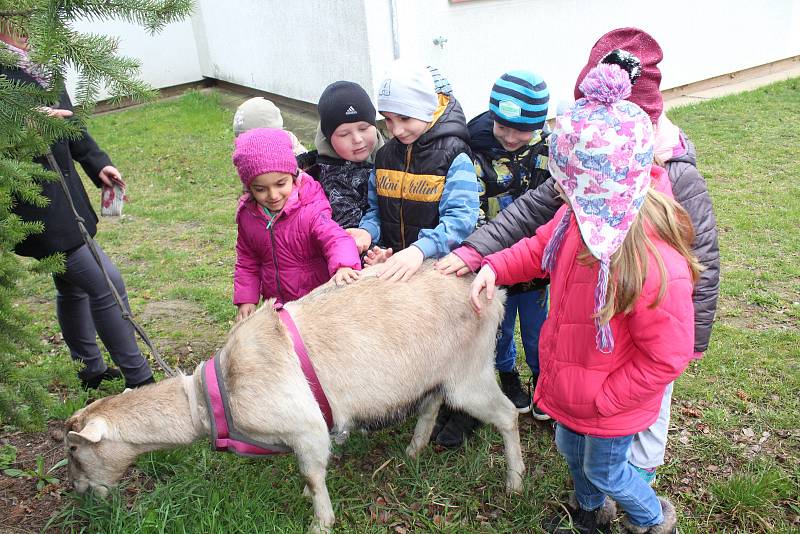 Děti v MŠ měly zvláštní návštěvu.