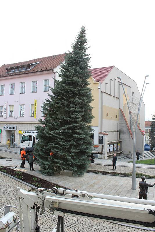 Vánoční strom Strakonice.