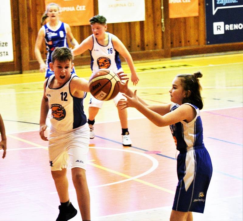 Vánoční turnaj U12: BK Strakonice - SBK Strakonice 74:12.