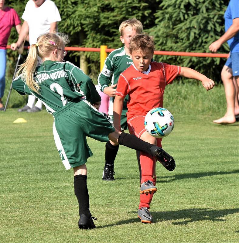 OP mladší přípravky: Dražejov - Katovice 13:3.