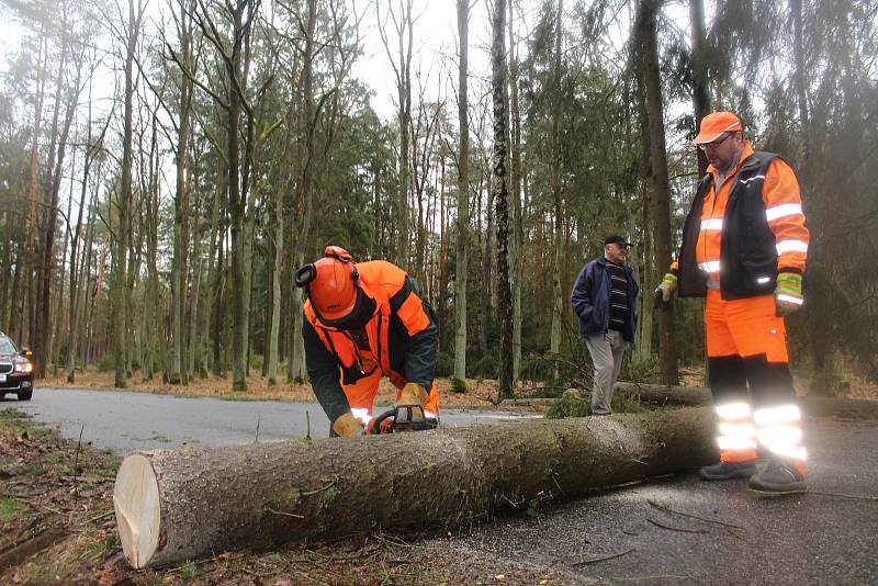 Silničáři museli rozřezat padlý smrk na silnici ze Strakonic na Drachkov.