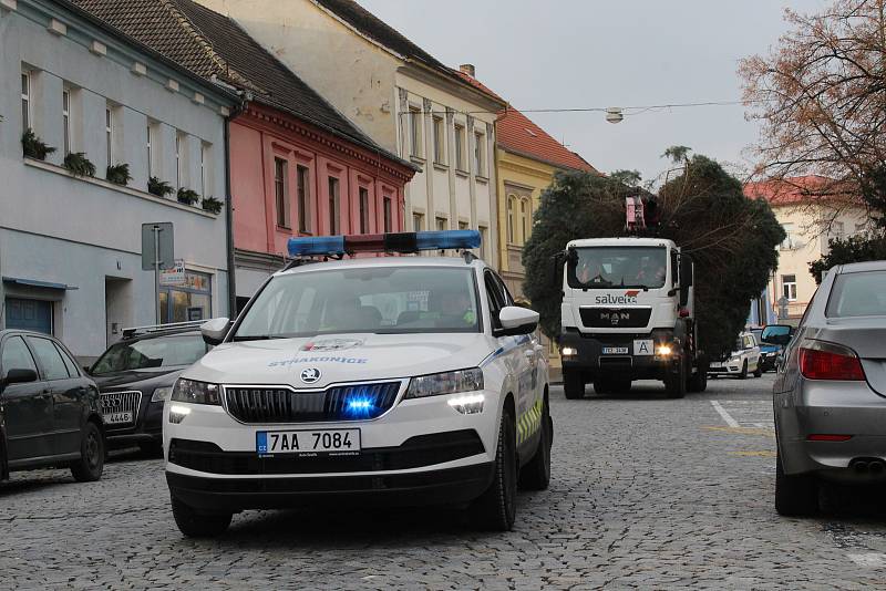 Vánoční strom Strakonice.