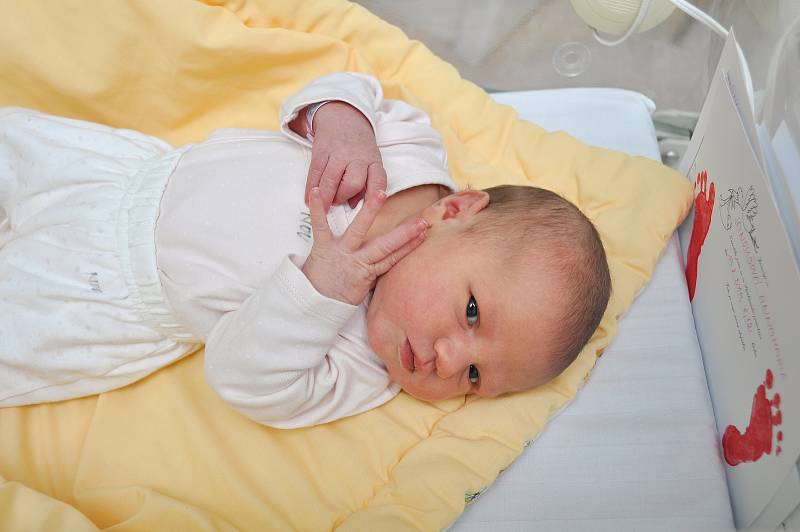Anna Marie Janoušová z Dražejova. Anna Marie se narodila 19.2.2019 v 8.12 hodin a při narození vážila 3 730 gramů. Na sestřičku se doma těšili sourozenci Lucinka (6) a Vašík (1,5).