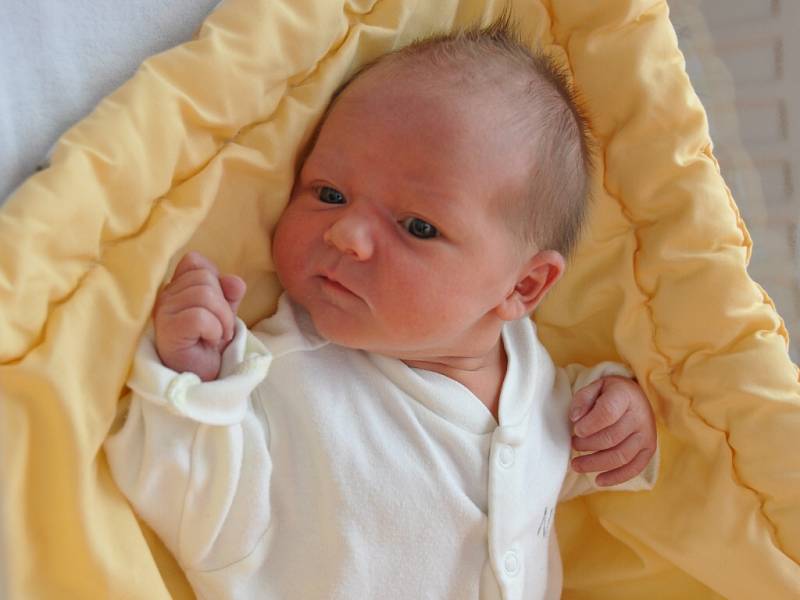 Amálie Šilhanová, Kadov, 12.6. 2016 v 00.31 hodin, 3000 g. Malá Amálie je prvo-rozená.