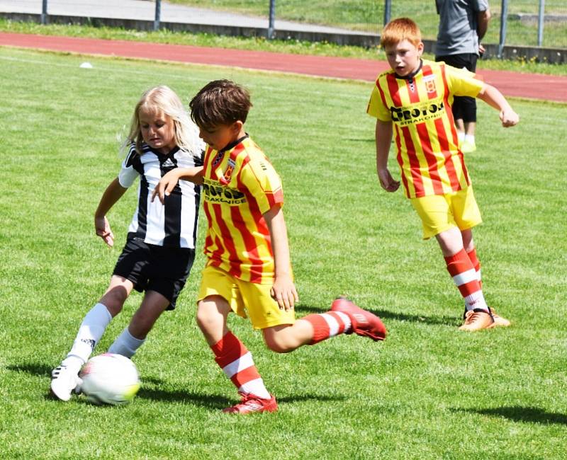 KP přípravek: Junior Strakonice - Veselí nad Lužnicí 8:24.