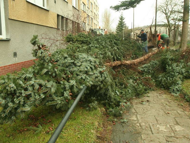 Úklid stromů v ulici Hradeckého. 