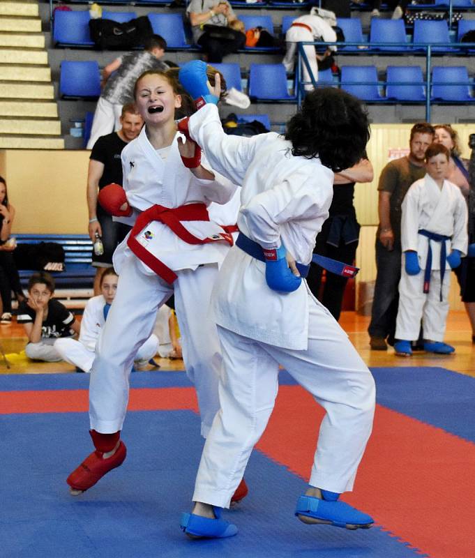 Strakoničtí pořádali druhé kolo Krajské ligy karate.