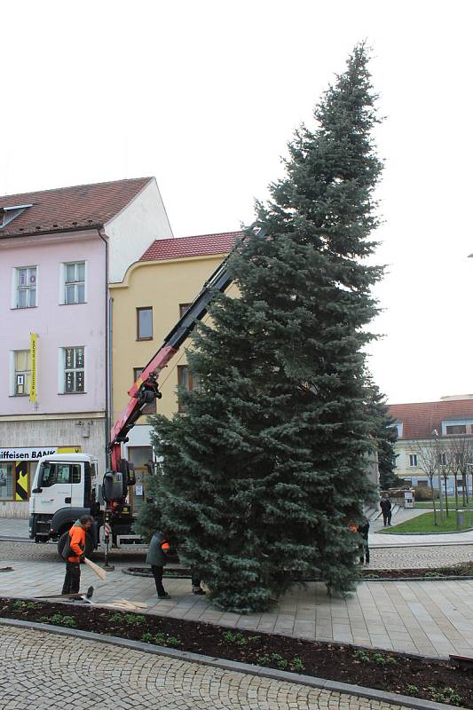 Vánoční strom Strakonice.