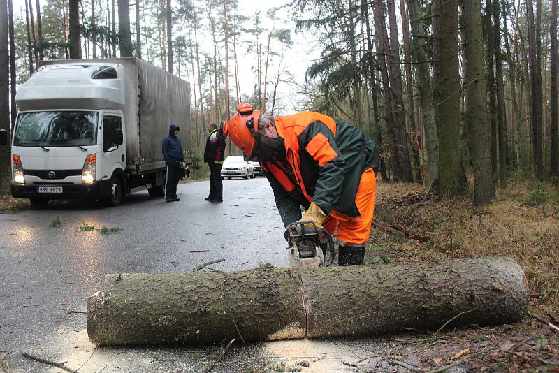 Silničáři museli rozřezat padlý smrk na silnici ze Strakonic na Drachkov.