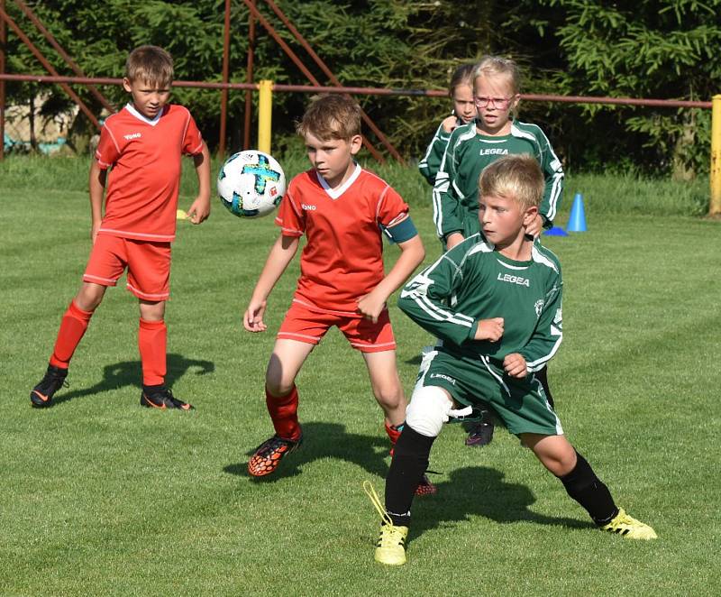 OP mladší přípravky: Dražejov - Katovice 13:3.