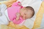 Lucie Ceplechová z Cehnic. Lucinka se narodila 5.2.2019 v 9:45 hodin a při narození vážila 3 250 gramů. Na Lucinku již doma netrpělivě čekal bráška František (3,5).