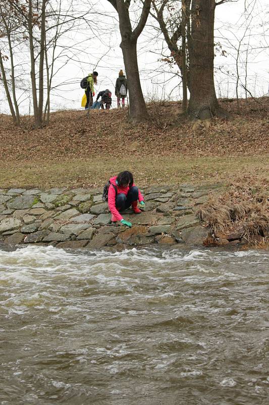 Vodňany – Studenti oktávy gymnázia se rozhodli udělat něco pro přírodu ve svém okolí a v neděli 3. března ráno se sešli u Železné lávky přes řeku Blanici.