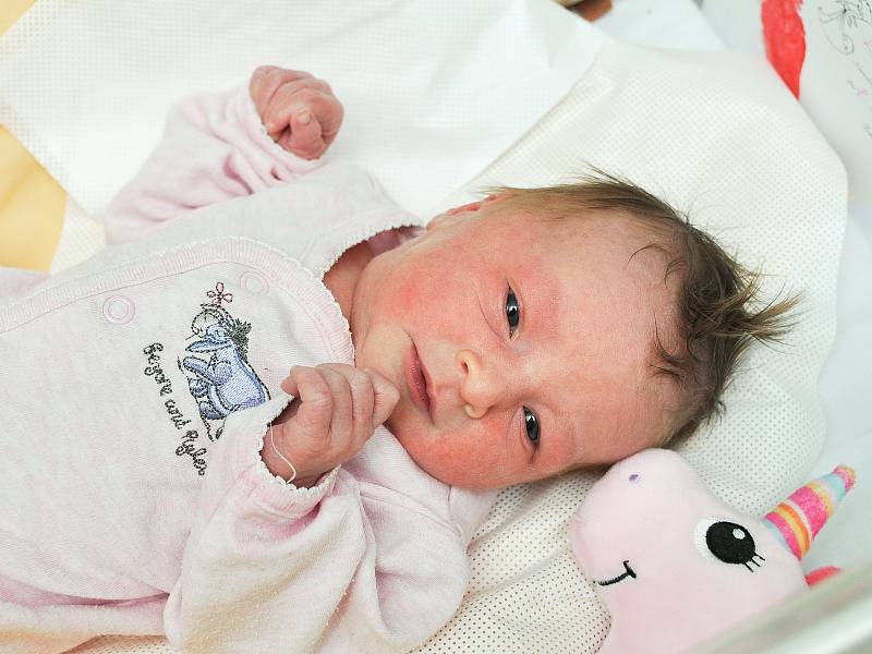Sofia Křížová ze Strašic. Sofia se narodila 8.1.2019 v 19 hodin a 45 minut a při narození vážila 3210 g. Na Sofinku doma čekala sestřička Vanessa (2).