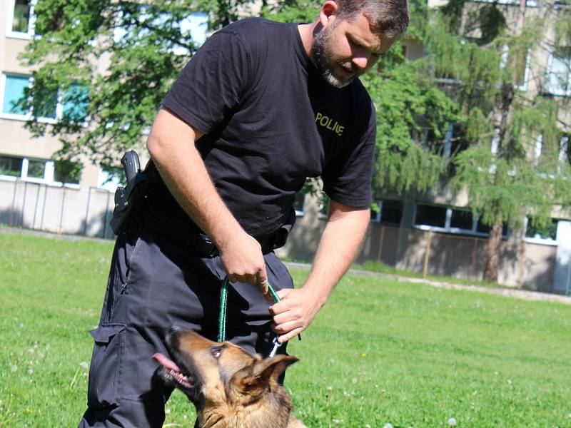 Prvňáčci ze ZŠ Dukelská viděli ve čtvrtek dopoledne výcvik služebních policejních psů. Na snímku psovod Jiří Pixa a Michal Hrachovec předvádějí, co umí cvičený policejní pes - německý ovčák Xell.