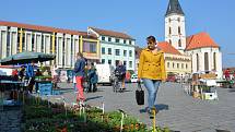 Trhy na náměstí ve Vodňanech se konají vždy v úterý a v sobotu od 6 do 12 hodin. V úterý 17. dubna si nejen zahrádkáři nakupovali hlavně první sazeničky.