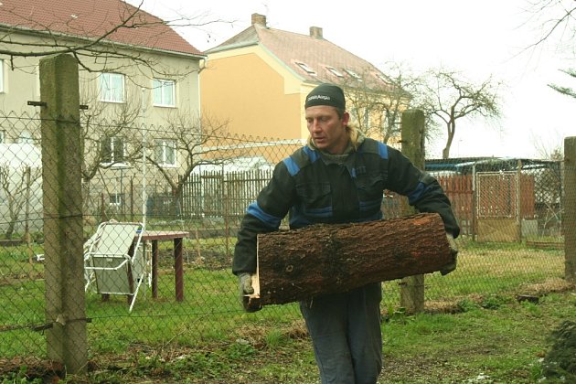 Úklid stromů v ulici Hradeckého. 