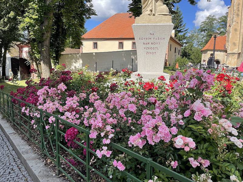 Centrum Blatné po roce opět patřilo růžím.