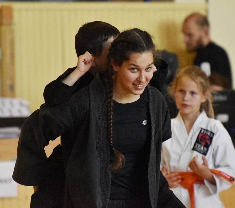 Strakonice hostily MČR v Allkampf-Jitsu.