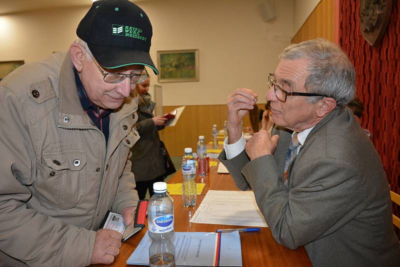 Voliči okrsků 7., 8. a 9. ve Vodňanech.