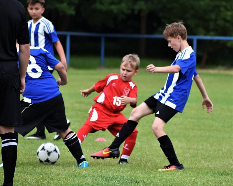 OP starší přípravky: Otavan Štěkeň - TJ Blatná 1:13 (1:6).