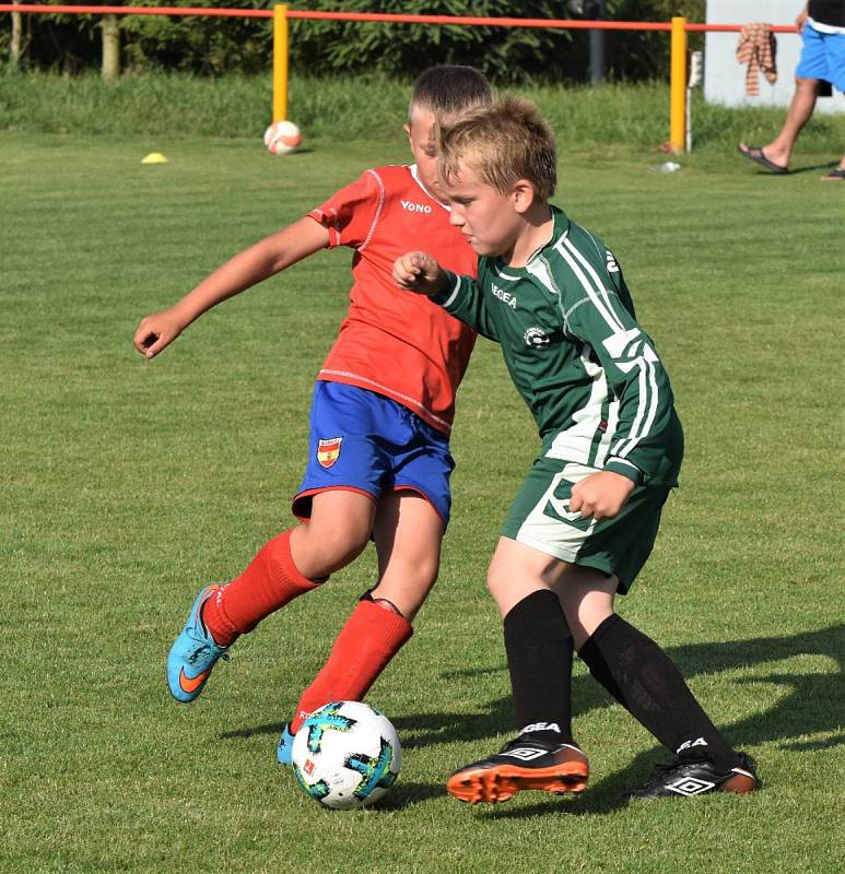 OP mladší přípravky: Dražejov - Katovice 13:3.