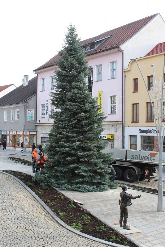 Vánoční strom Strakonice.