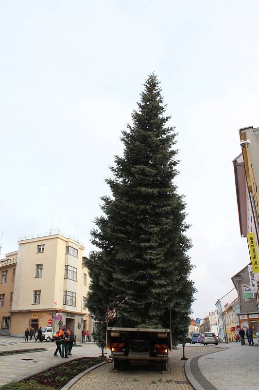 Vánoční strom Strakonice.