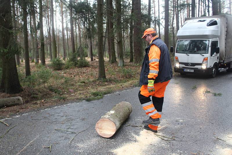 Silničáři museli rozřezat padlý smrk na silnici ze Strakonic na Drachkov.