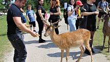 Blatná má turistům rozhodně co nabízet.