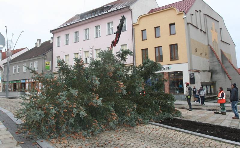 Vánoční stromy na Velkém náměstí ve Strakonicích. Jedli vystřídal smrk. Ten se při osazování zřítil k zemi - prasklo lano.