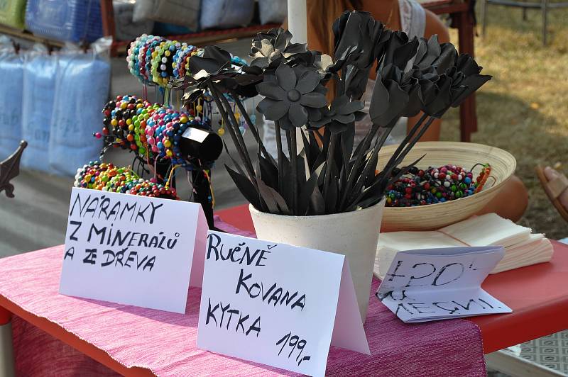V neděli 5. srpna byla součástí tradiční pouti prodejní výstava Květy Volyně 2018 v Pošumavské tržnici a Malé galerii.