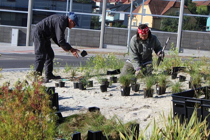 Kruhová křižovatka v ulici Radomyšlská ve Strakonicích představuje jihoamerickou prérii. Její dominantou je vrak amerického osobního vozu ze sedmdesátých let zaparkovaný na okraji písečné duny.