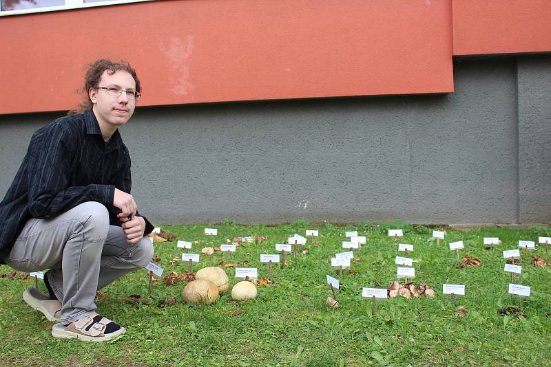 Strakonice - Zahrádka se sbírkou  hub, které  rostou v okolí vyrostla díky studentům a kantorům u vstupu do gymnázia.