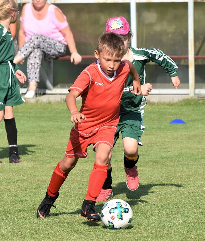 OP mladší přípravky: Dražejov - Katovice 13:3.