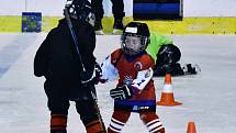 Pojď hrán hokej - náborové hokejové akce ve Strakonicích využilo plno malých hvězdiček tohoto sportu.