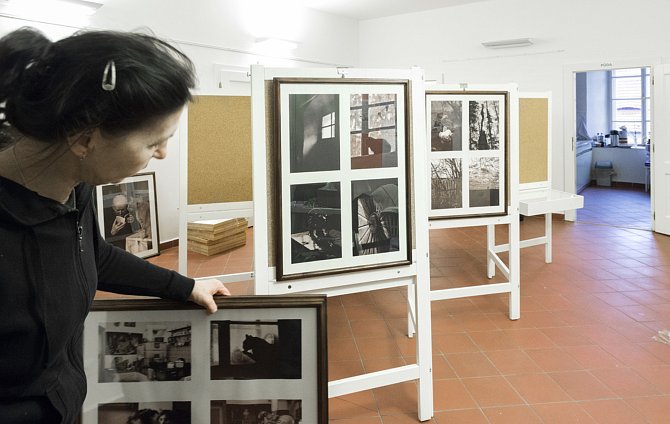 Výstava Ivana Řandové trvá ve vstupní hale Šmidingerovy knihovny do 4. března.